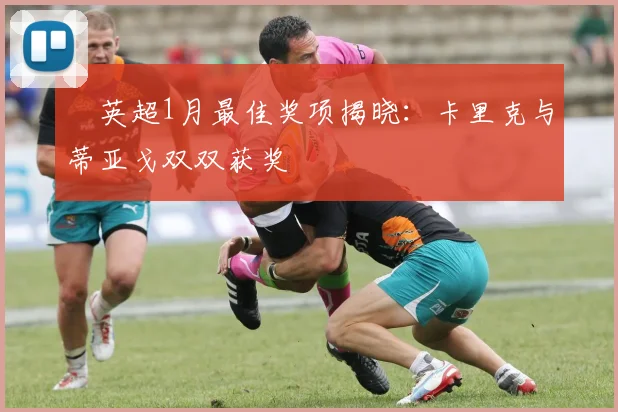 ​英超1月最佳奖项揭晓：卡里克与蒂亚戈双双获奖