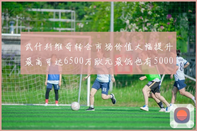 武什科维奇转会市场价值大幅提升最高可达6500万欧元最低也有5000万欧元